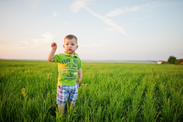 Милый мальчик в поле зеленой травы вечером