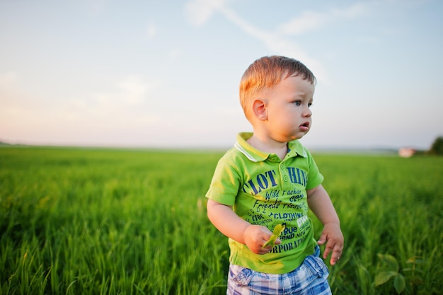 Cute boy in green grass field at evening