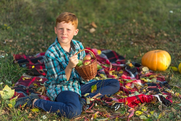 Free photo cute boy holding a basket with apples