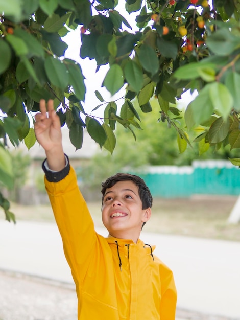 Cute boy in raincoat and cherry tree