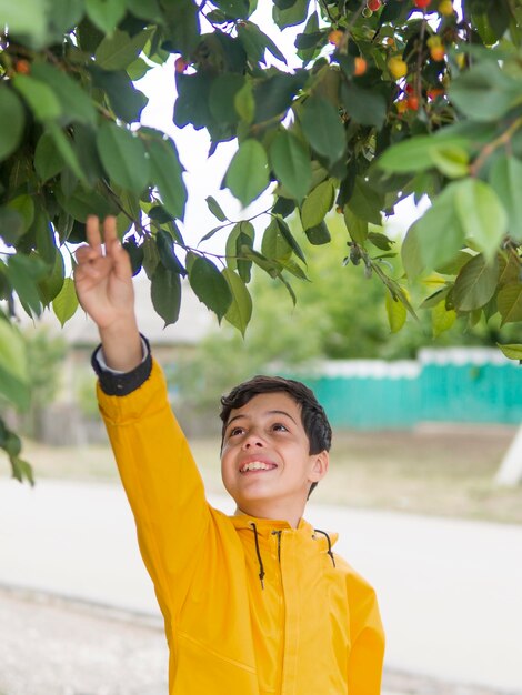 Милый мальчик в плаще и вишневом дереве