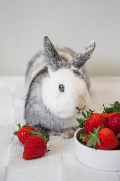 Free photo cute bunny rabbit and strawberries on table