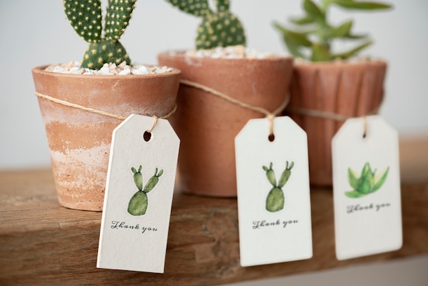 Foto gratuita simpatici cactus in vasi di terracotta con etichette di carta