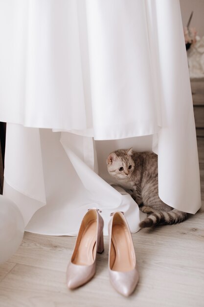 かわいい猫が花嫁のドレスを隠し、花嫁のかかとの近くに立つ