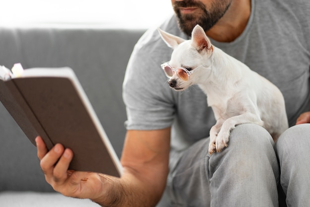 Free photo cute chihuahua dog reading a book while having glasses on