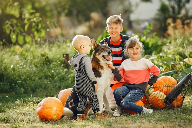 Foto gratuita childresn sveglio che si siede su un giardino vicino a molte zucche