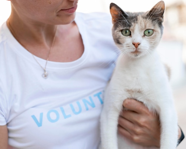 Free photo cute curious cat being held by woman outdoors