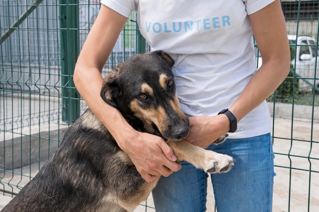 Cute dog for adoption playing with woman