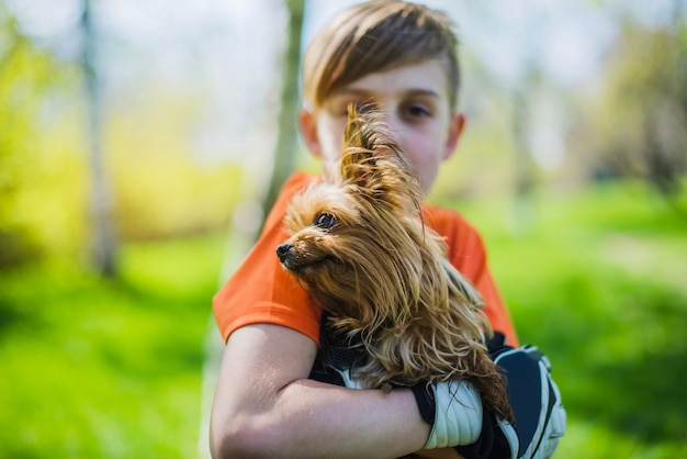 子供の腕のかわいい犬