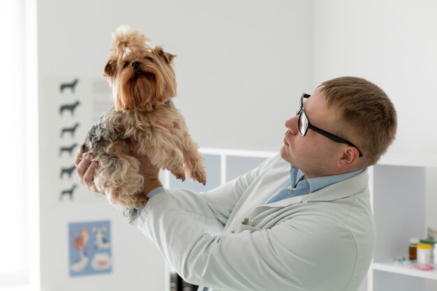 相談中のかわいい犬