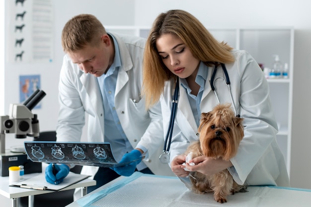 Simpatico cane durante una consultazione