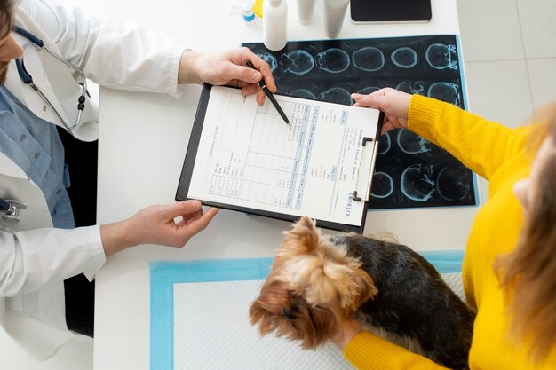 Simpatico cane durante una consultazione