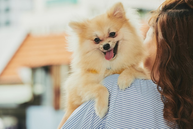 かわいい犬