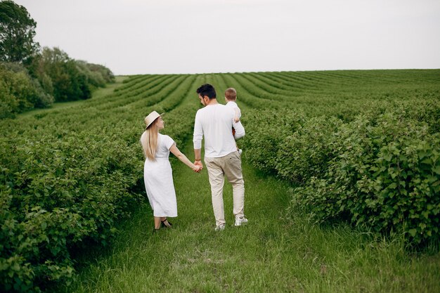 Cute family playing in a summer field