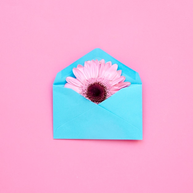 Free photo cute flower in envelope