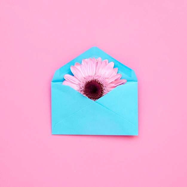 Cute flower in envelope