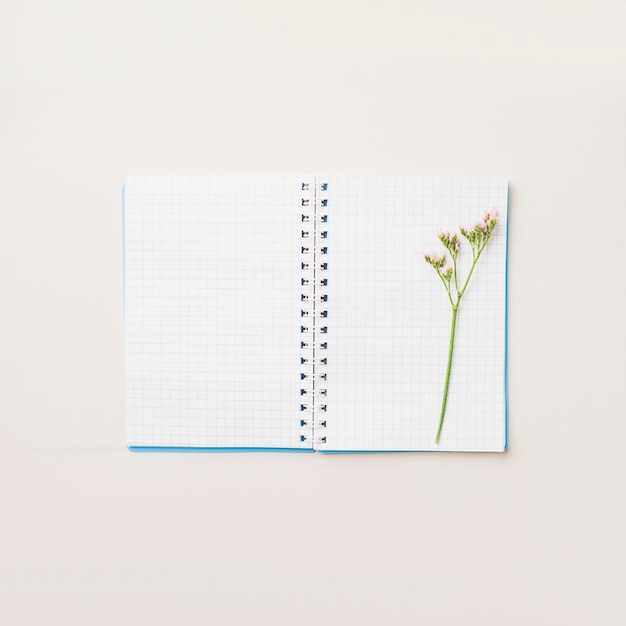 Cute flower on notebook