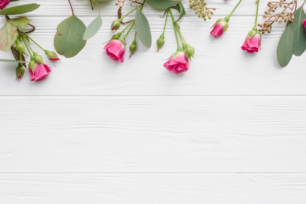 Cute flowers and leaves on white