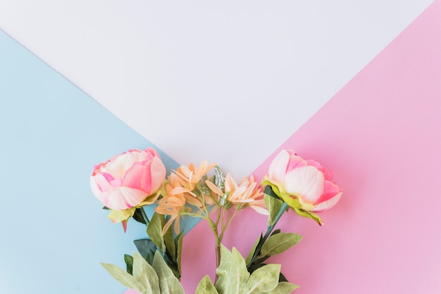 Free photo cute flowers on multicolored background