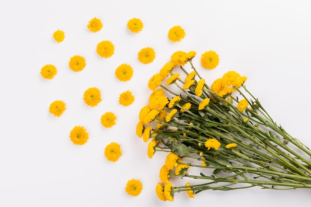 Foto gratuita fiori carini vicino al bouquet