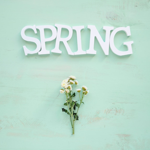 Free photo cute flowers under spring writing