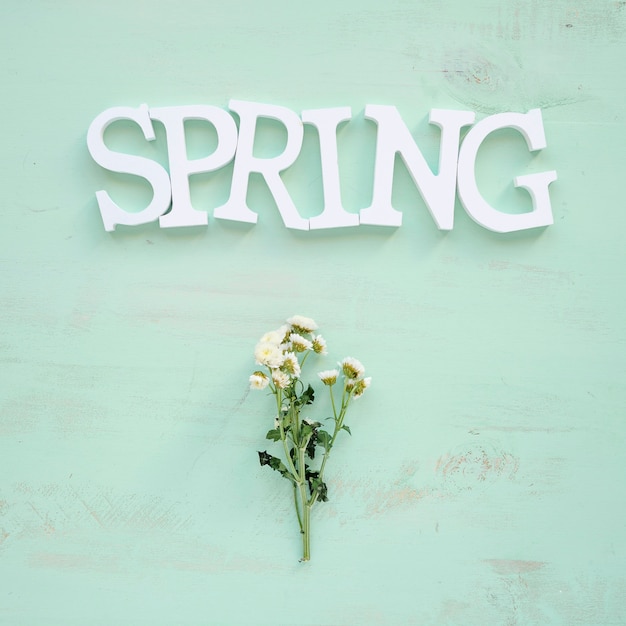 Cute flowers under spring writing