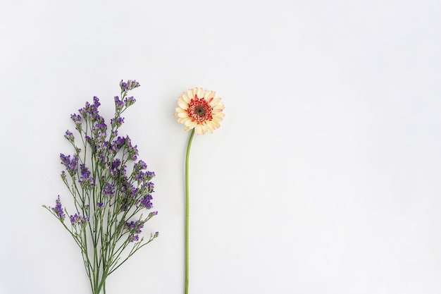 Cute flowers on white surface