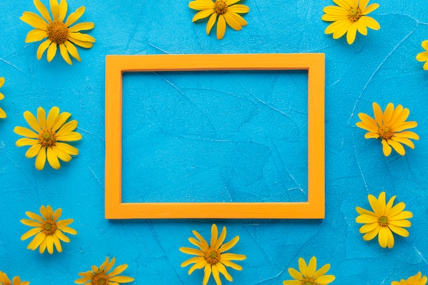 Cute frame with spanish oyster thistle