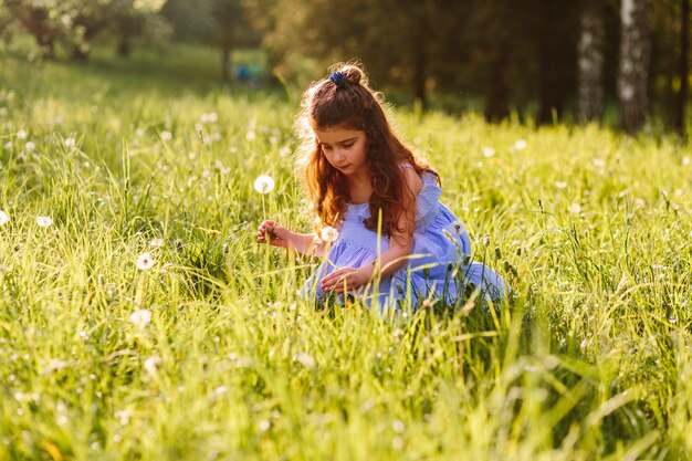 Симпатичная девушка, собирающая цветы одуванчика в парке