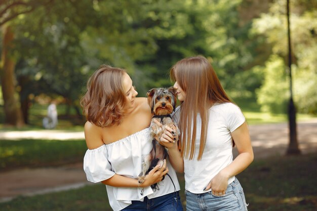 小さな犬と遊ぶ公園でかわいい女の子