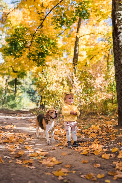 가을 숲에서 그녀의 비글 강아지 서와 함께 귀여운 무고한 소녀