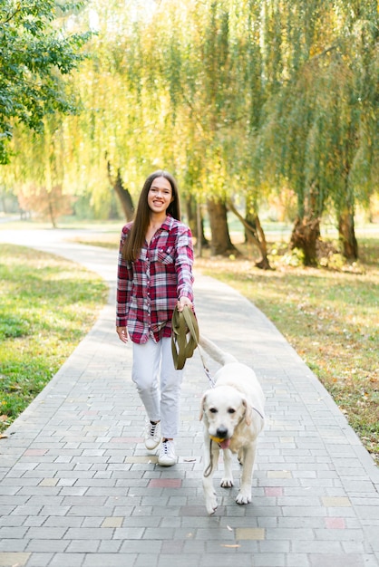 Cute labrador going for a walk