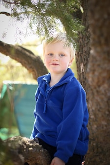 Cute little blonde kid sitting on a tree branch in a park