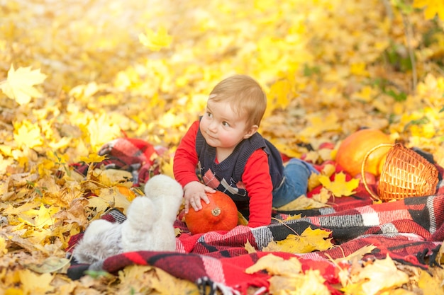 Cute little boy on a blanket looking away