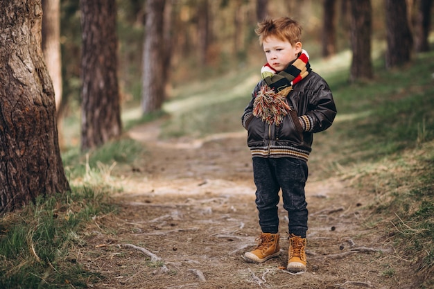 Foto gratuita ragazzino sveglio in foresta da solo