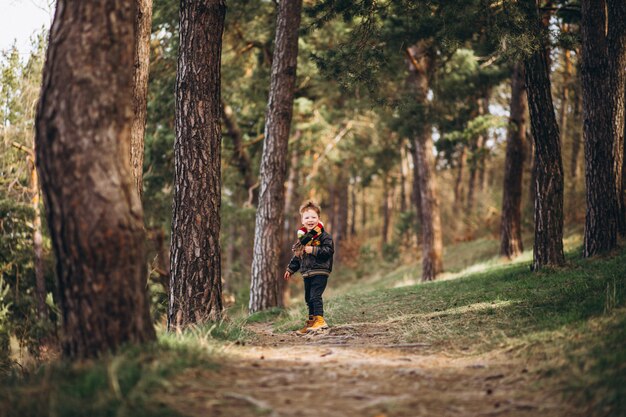 Cute little boy in forest alone