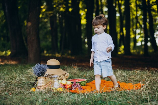 Cute little boy in park on a picnic
