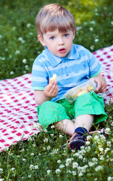 Cute little boy at picnic in the park