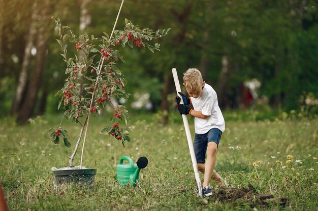 Cute little boy planting a tree on a park