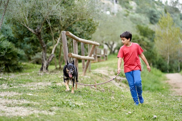 彼​の​隣​の​田舎​の​菜種​畑​で​彼​の​小さな​ペット​の​犬​を​歩いている​かわいい​男の子​、​小さな​道​を​歩いている​男の子
