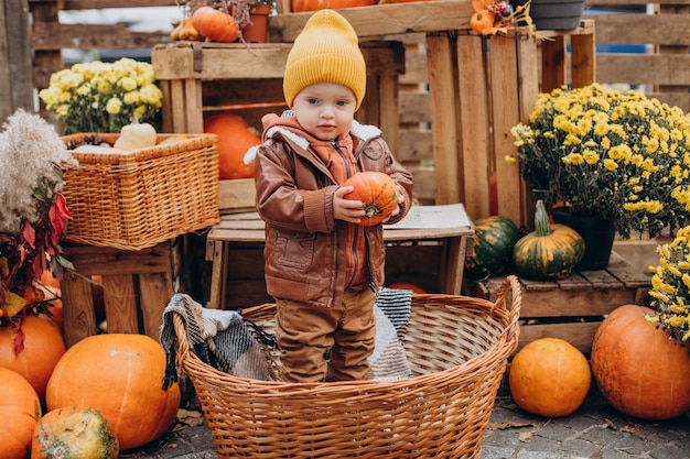 Cute little boy with halloween pumpkins at ranch