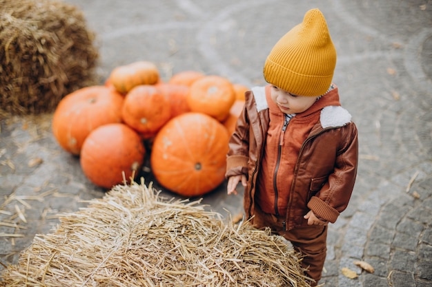 Милый маленький мальчик с тыквами на хэллоуин на ранчо