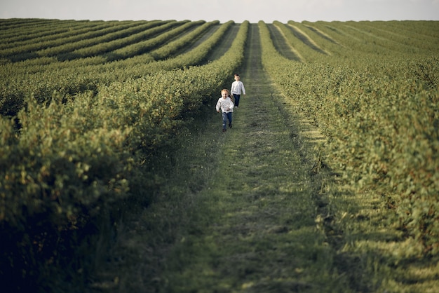 Cute little children in a spring field