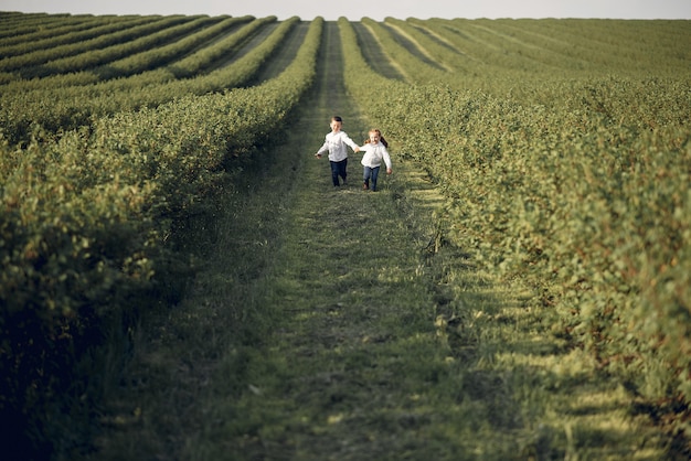 Cute little children in a spring field