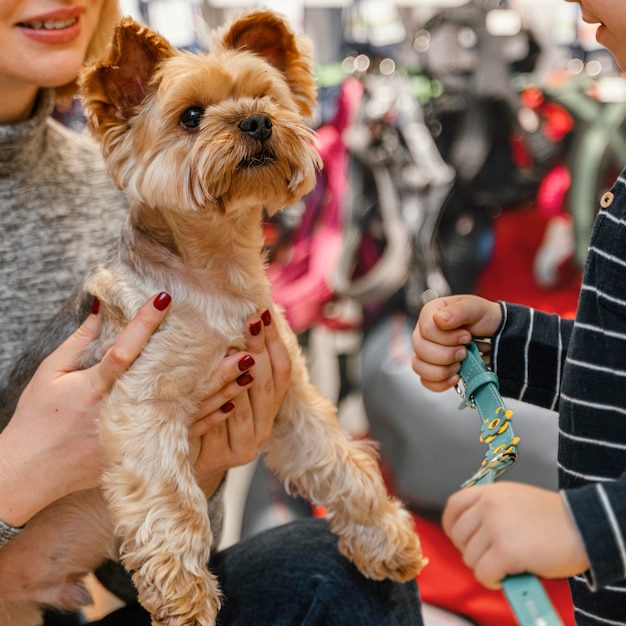 Cute little dog with owners at the pet shop