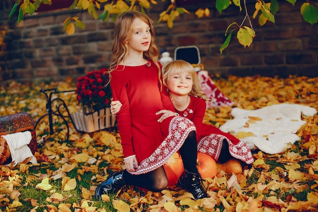 Free photo cute little girl in a autumn park