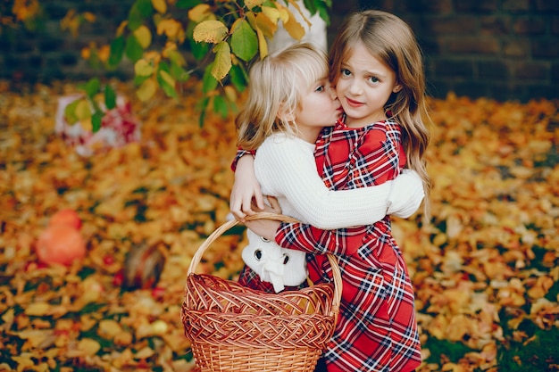 Free photo cute little girl in a autumn park