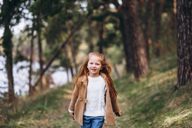 Free photo cute little girl gathering cones in forest