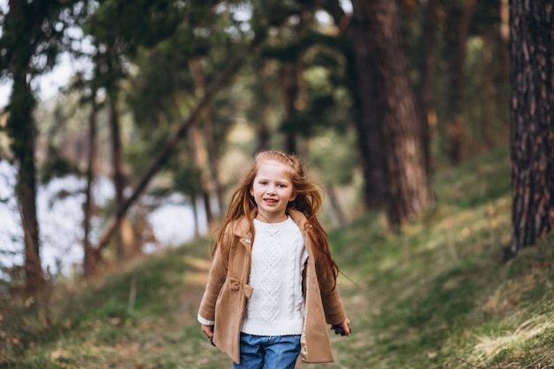 Милая маленькая девочка собирает шишки в лесу