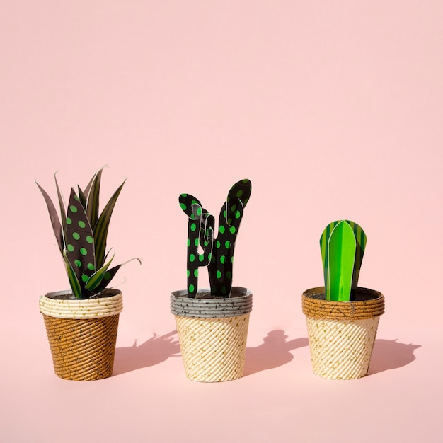 Cute paper cut style of artificial cacti
